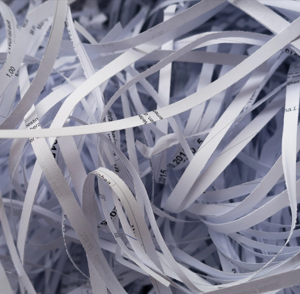 Close-up of a pile of shredded paper strips with visible text fragments, highlighting the thoroughness of confidential paper shredding services.